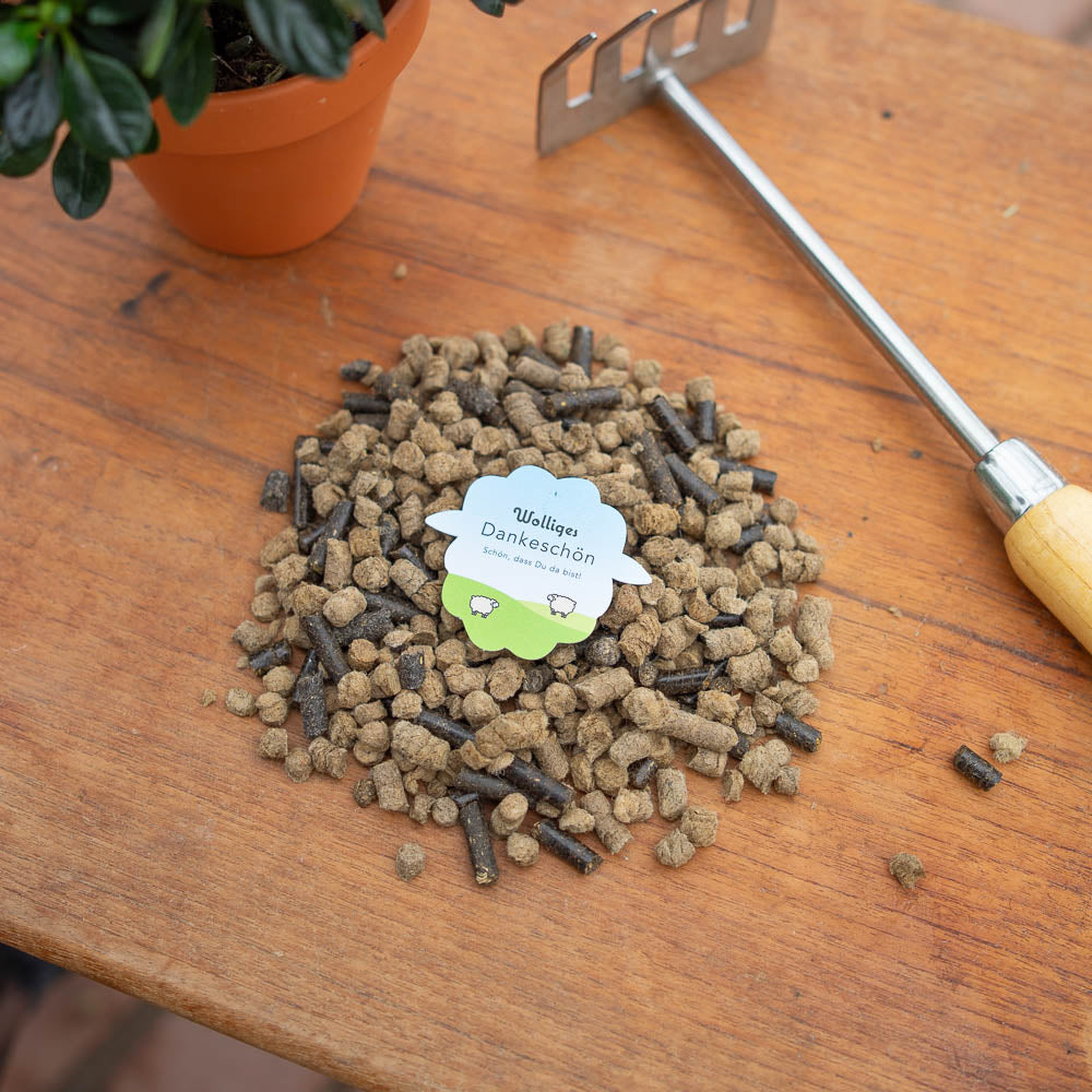 Mixed Pellets Schafwollpellets 3